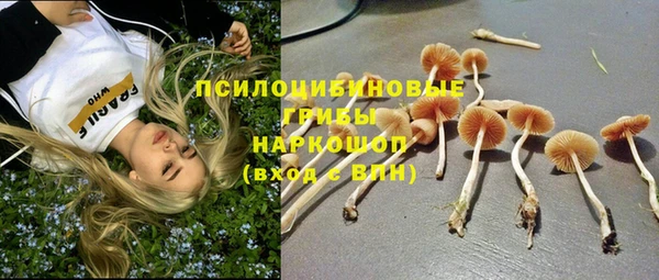 ГАЛЛЮЦИНОГЕННЫЕ ГРИБЫ Абинск
