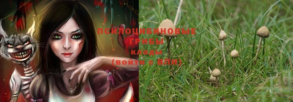 ГАЛЛЮЦИНОГЕННЫЕ ГРИБЫ Абинск